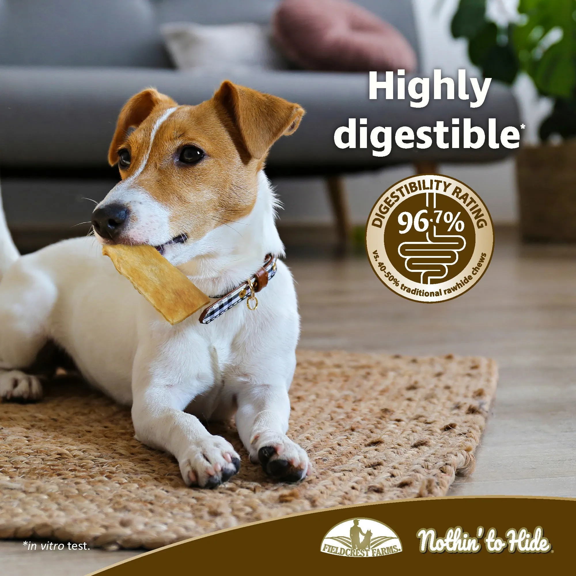 Nothin to Hide Chicken Flip Chips Dog Treats 8 Pack^^^