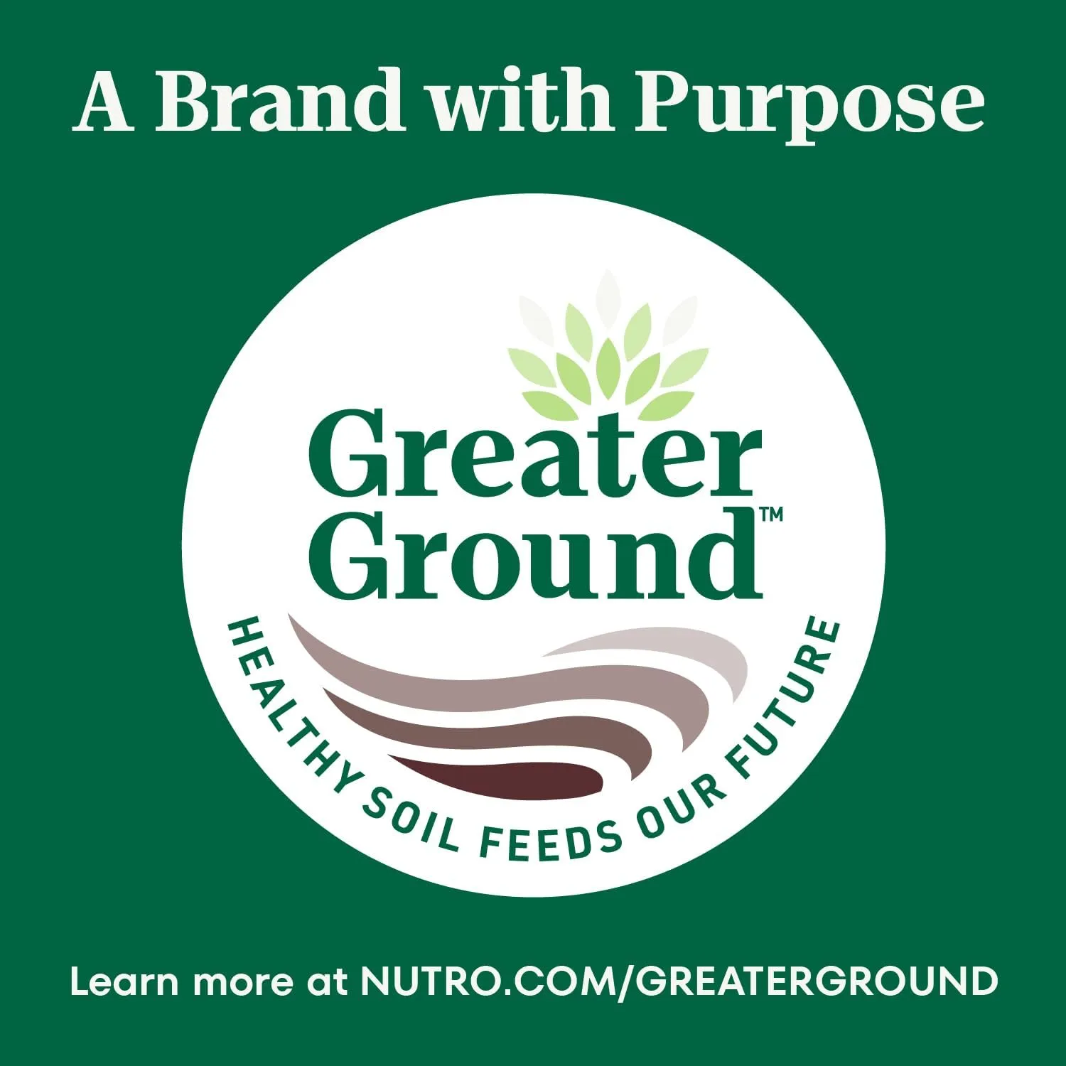 Nutro Crunchy Dog Treats with Real Peanut Butter, 16 oz. Bag
