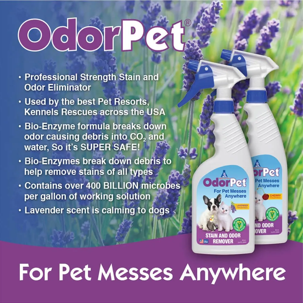 OdorPet Carpet and Floor Stain Remover with Sprayer, 16 oz