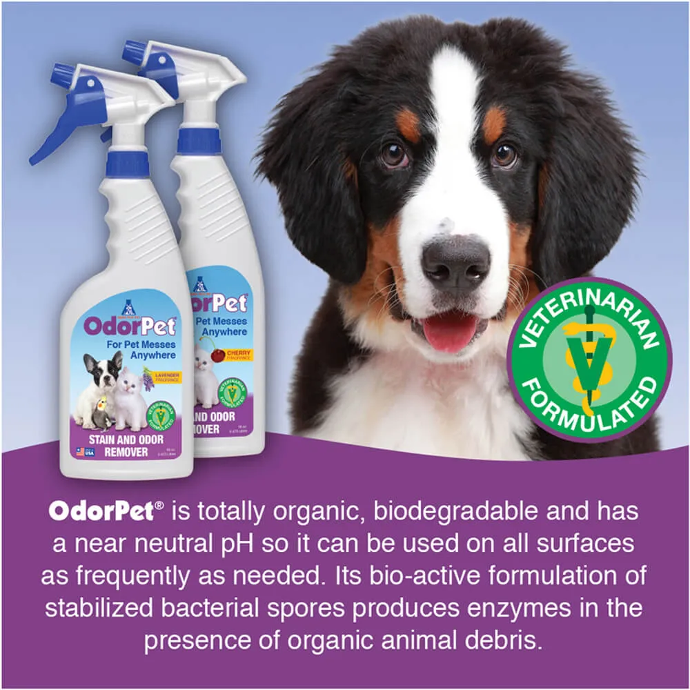 OdorPet Carpet and Floor Stain Remover with Sprayer, 16 oz