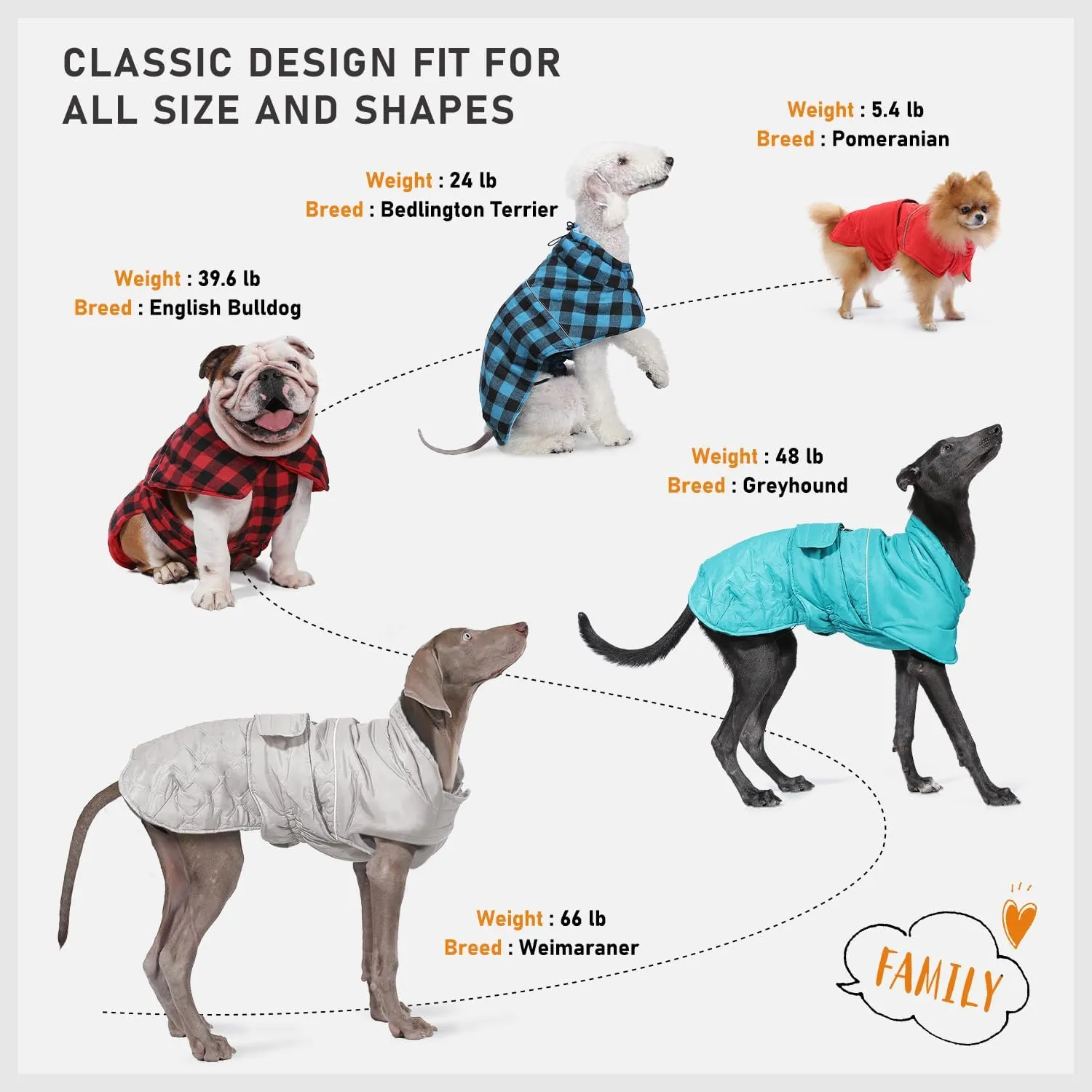 PAWZ Road Dog Winter Coat with 5 Layers Warm Material, Reversible Dog Clothes with 2 Sides, Dog Jacket Outdoor Water Repellent, (Blue Plaid 3XL)