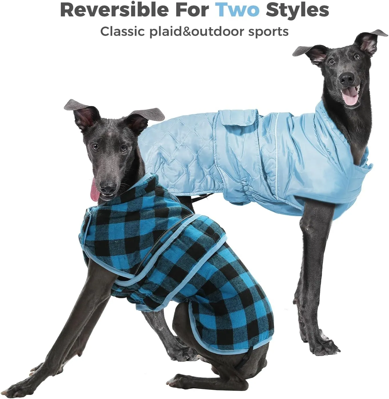 PAWZ Road Dog Winter Coat with 5 Layers Warm Material, Reversible Dog Clothes with 2 Sides, Dog Jacket Outdoor Water Repellent, (Blue Plaid 3XL)