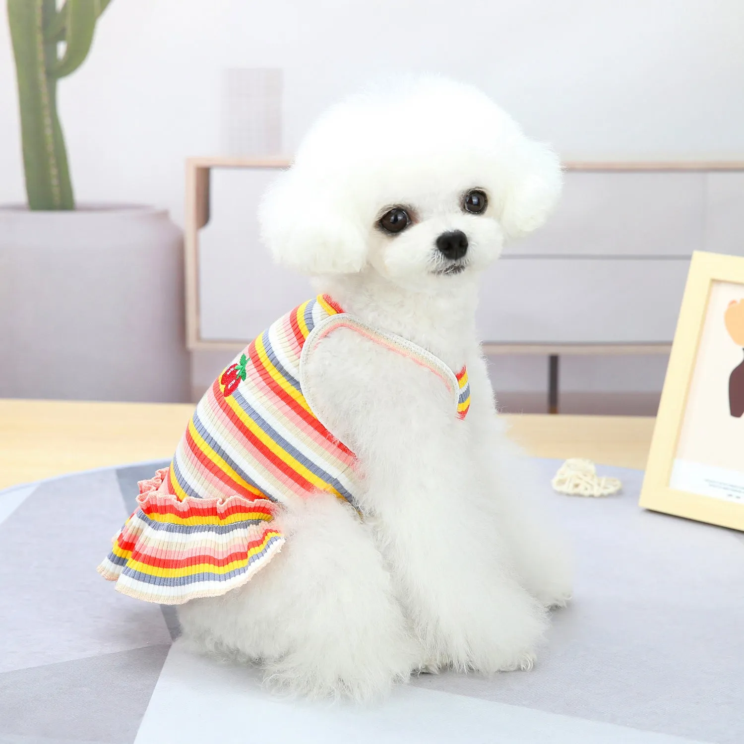Pet Clothes Dog Color Stripes Skirt Vest