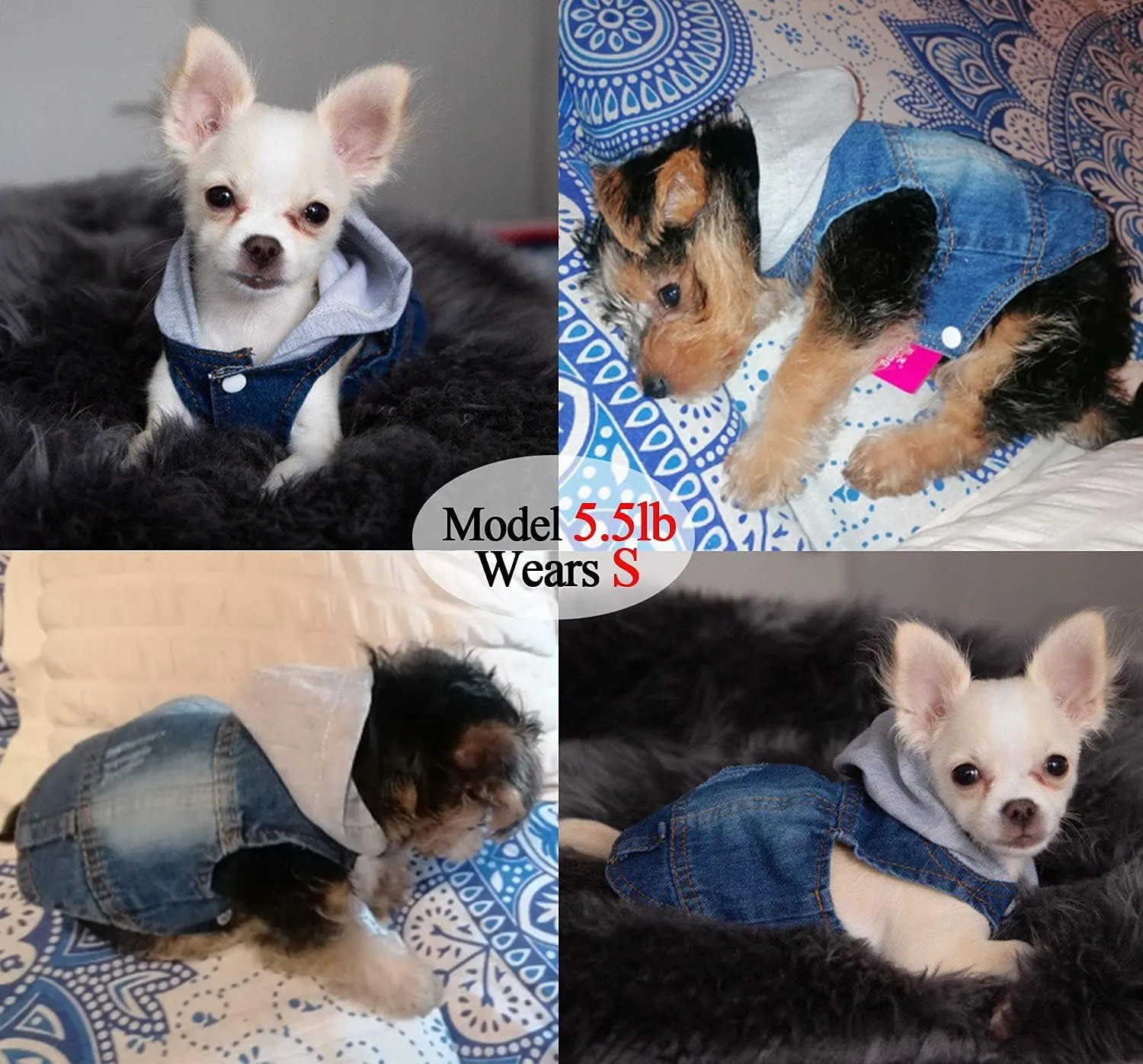 Pet Clothes Dog Jeans Jacket Cool Blue Denim Hoodie Coat, Puppy Clothing Shirt Costume, Doggy Vintage Washable Lapel Vest, Dog Classic T-Shirt Apparel for Small Medium Dogs Cats (Blue, Large)