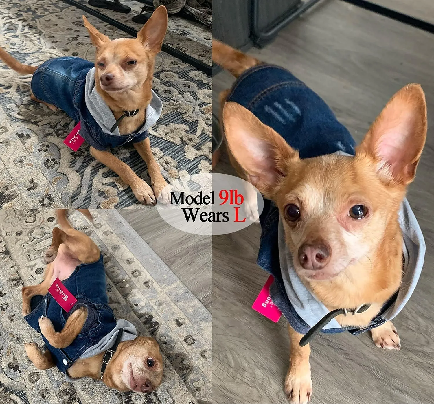 Pet Clothes Dog Jeans Jacket Cool Blue Denim Hoodie Coat, Puppy Clothing Shirt Costume, Doggy Vintage Washable Lapel Vest, Dog Classic T-Shirt Apparel for Small Medium Dogs Cats (Blue, Large)