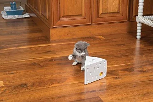 PetSafe Cheese Pet Toy