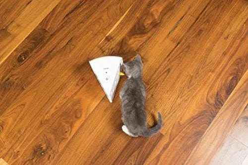 PetSafe Cheese Pet Toy