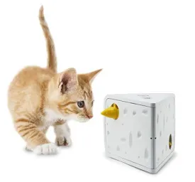 PetSafe Cheese Pet Toy