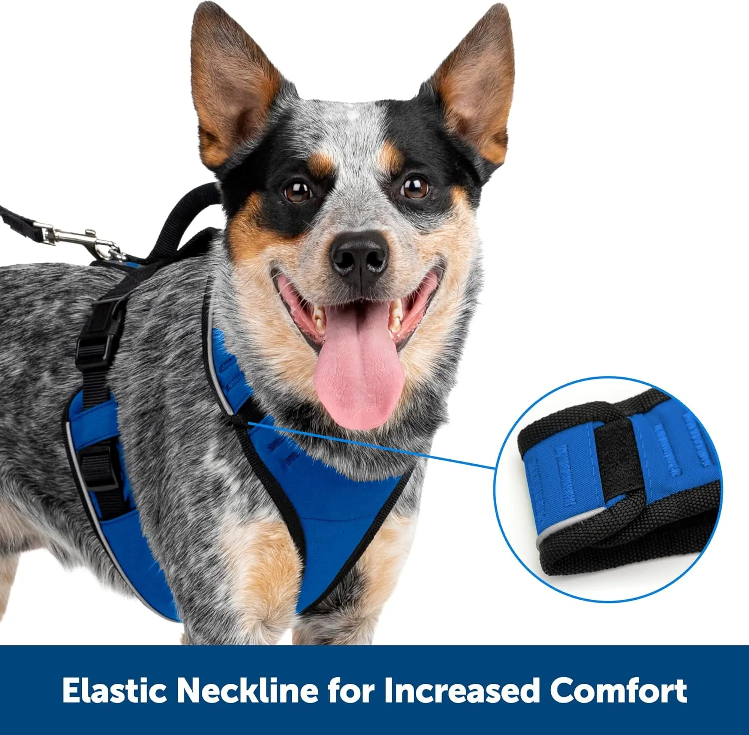 PetSafe EasySport Harness  Padded Straps  Fully Adjustable  Elastic Neckline  Best for Athletic Dogs  Top Handle for Quick Control - Small - Teal