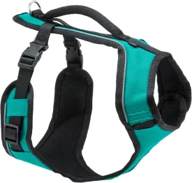 PetSafe EasySport Harness  Padded Straps  Fully Adjustable  Elastic Neckline  Best for Athletic Dogs  Top Handle for Quick Control - Small - Teal