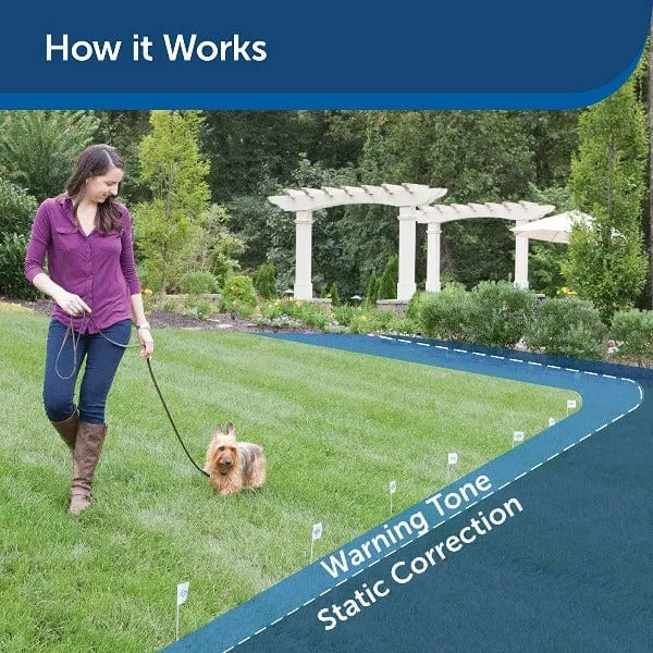 PetSafe Rechargeable In-Ground Fence Receiver Collar