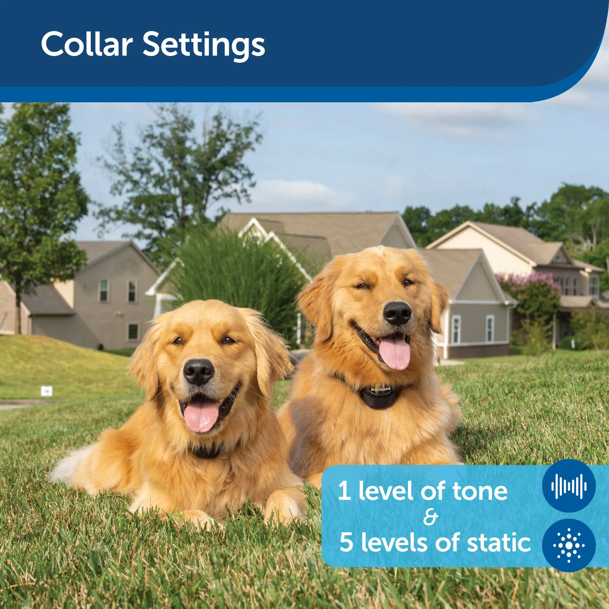PetSafe Stay   Play Wireless Fence Receiver Collar Only for Dogs and Cats, Waterproof and Rechargeable, Tone and Static Correction - From The Parent Company of INVISIBLE FENCE Brand