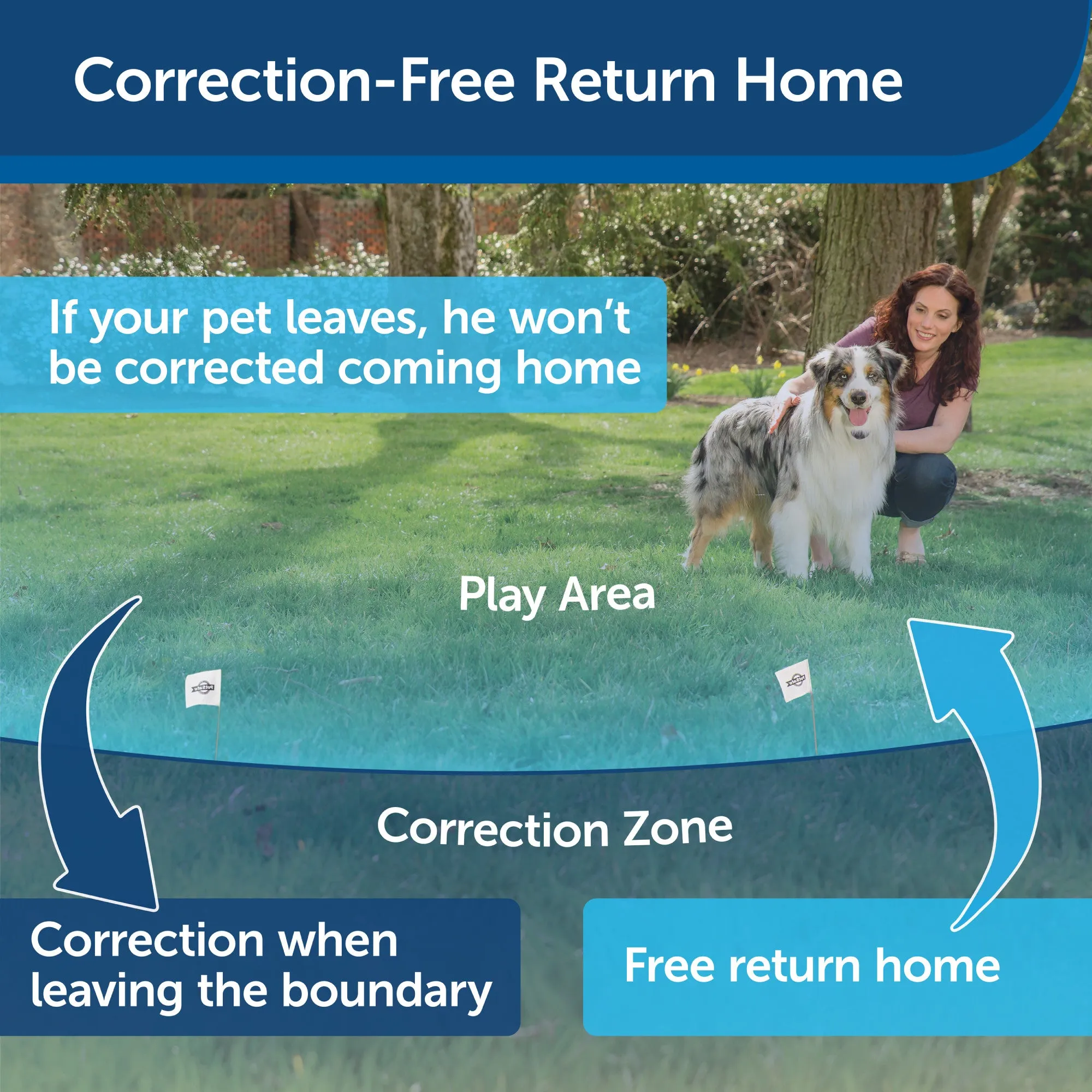 PetSafe Stay   Play Wireless Fence Receiver Collar Only for Dogs and Cats, Waterproof and Rechargeable, Tone and Static Correction - From The Parent Company of INVISIBLE FENCE Brand