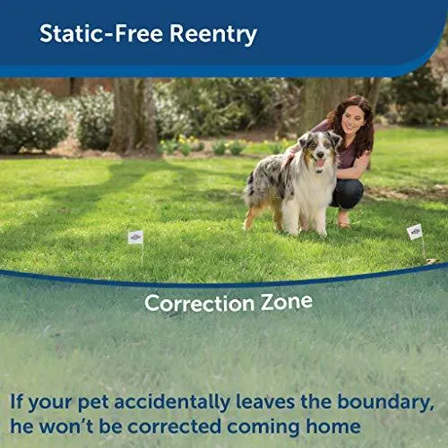PetSafe Stubborn Dog Stay   Play Wireless Fence Receiver Collar, Waterproof and Rechargeable, Tone and Static Correction