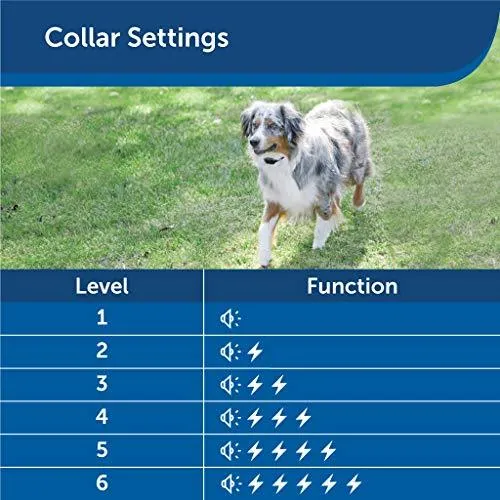 PetSafe Stubborn Dog Stay   Play Wireless Fence Receiver Collar, Waterproof and Rechargeable, Tone and Static Correction