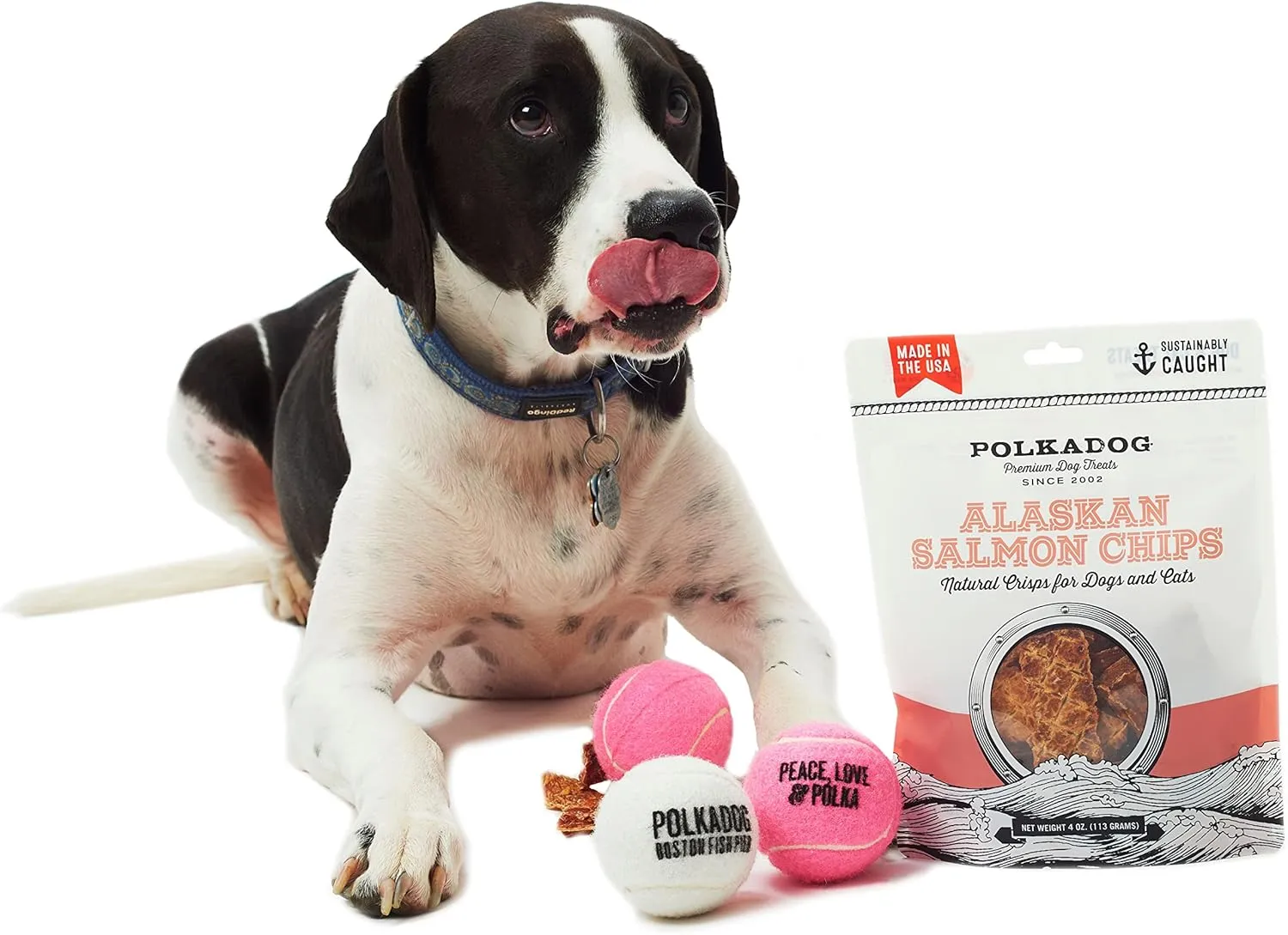 Polkadog Crunchy Alaskan Salmon Chips, Dog Treats  100% Wild-Caught Fish Treat for Dogs, Cats  All-Natural, Grain-Free, Gluten-Free Pet Chips  Single Ingredient Snacks  4 oz.