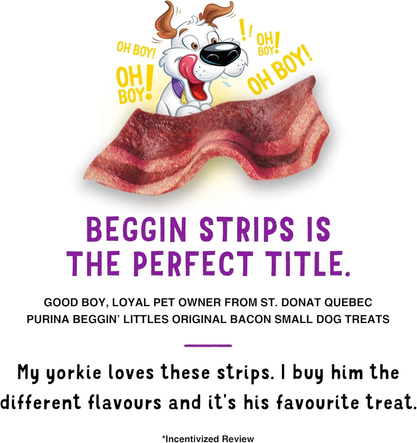 Purina Beggin' With Real Meat Dog Treats, Fun Size Original With Bacon Flavor - 25 oz. Pouch