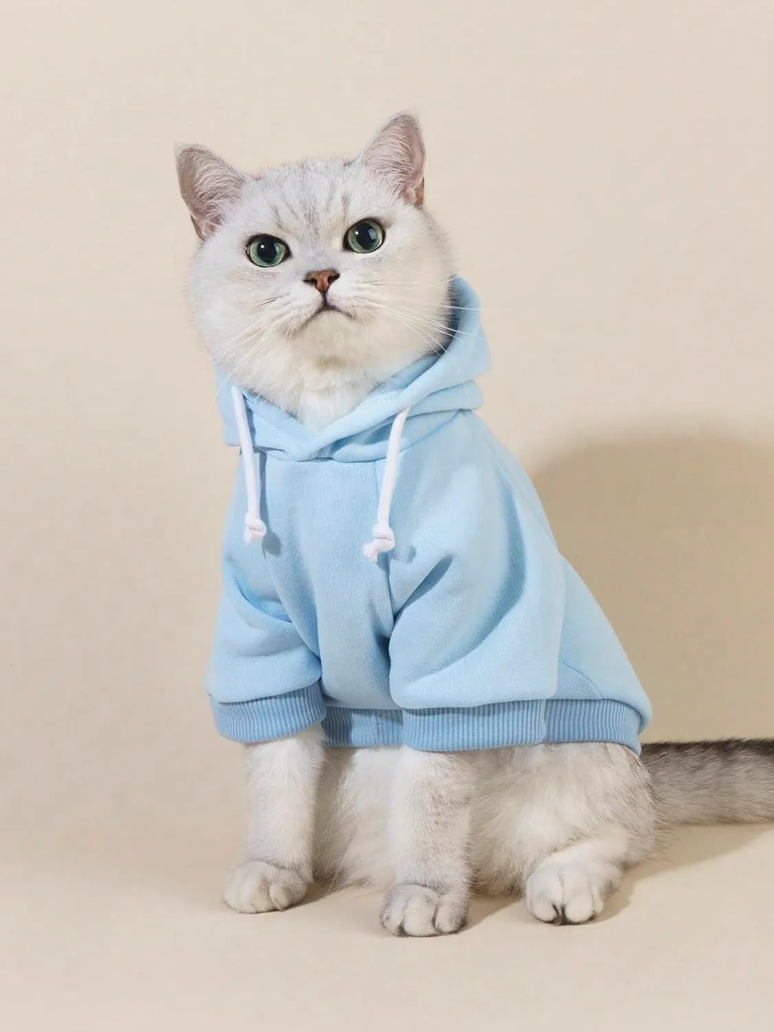 QWINEE Basic Dog Hoodie, Dog Warm Jacket, Cat Apparel, Dog Shirt, Dog Clothes for Puppy Kitten Small Medium Dogs Cats Light Blue S