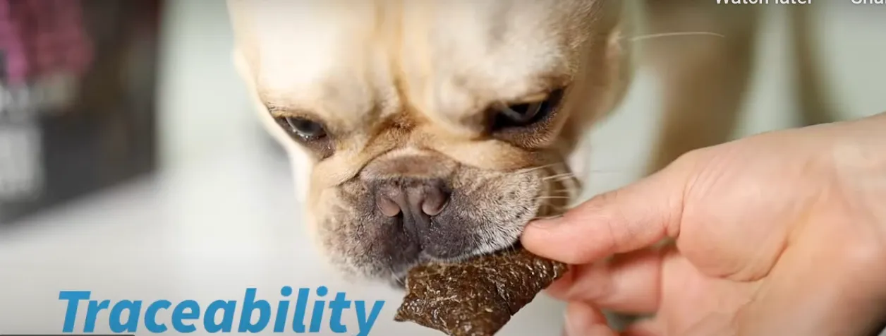 Raised Right Pets - Meat Bites - Pork Liver Dog Treats