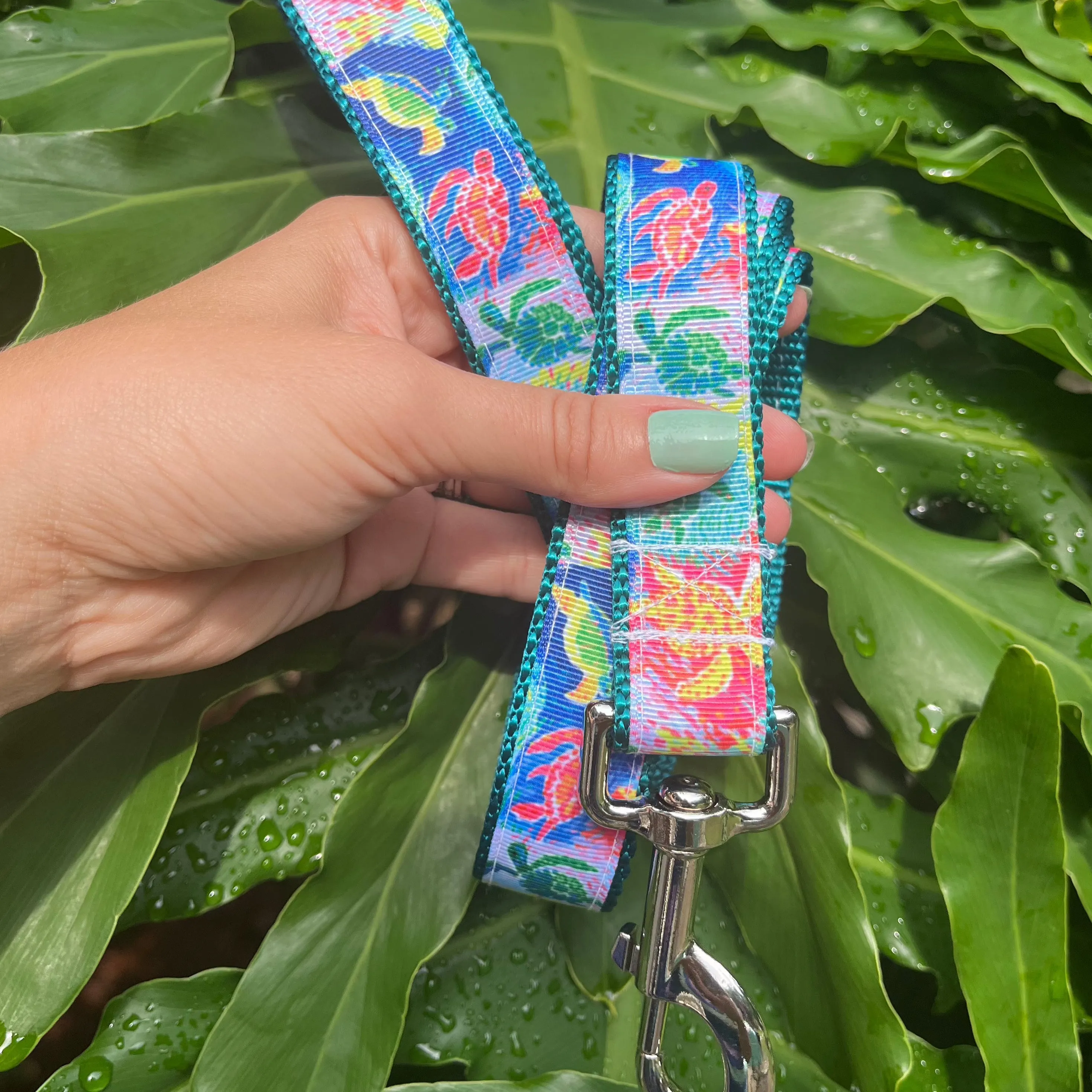 Sea Turtle Dog Leash