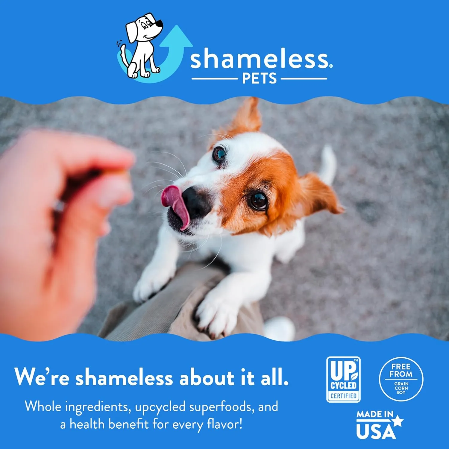 Shameless Pets Jerky Dog Treats, Berry Had A Little Lamb - Healthy Dog Chews for Skin & Coat Support with Omega 3 and 6 - with Real Premium Lamb and Cranberries - Free from Corn & Soy - 1-Pack
