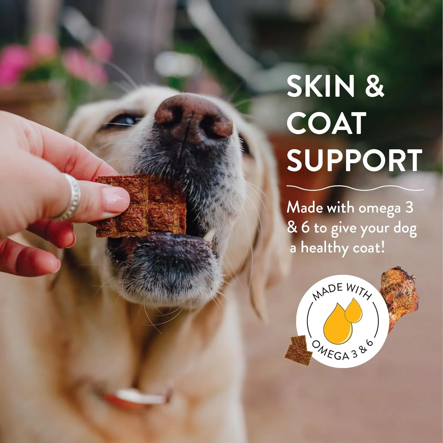 Shameless Pets Jerky Dog Treats, Berry Had A Little Lamb - Healthy Dog Chews for Skin & Coat Support with Omega 3 and 6 - with Real Premium Lamb and Cranberries - Free from Corn & Soy - 1-Pack