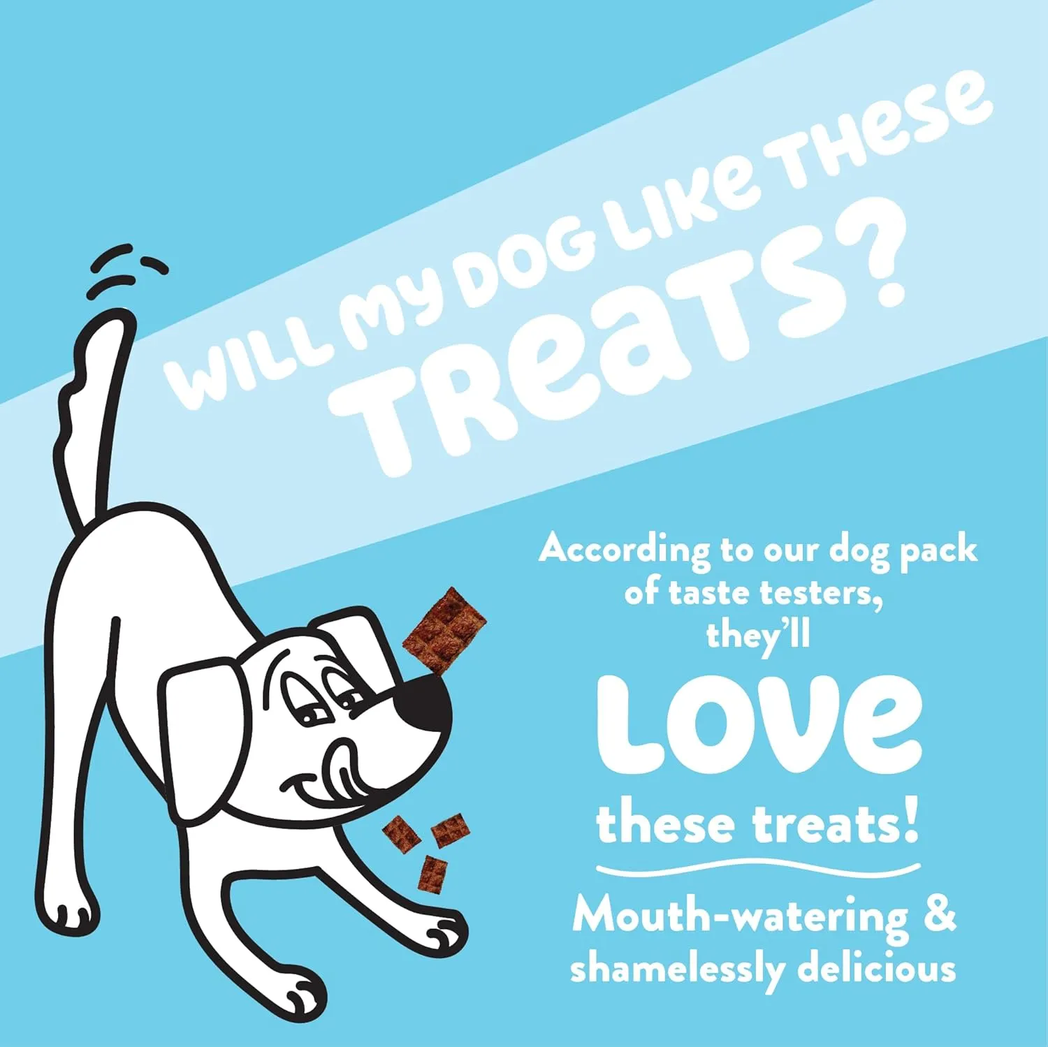 Shameless Pets Jerky Dog Treats, Berry Had A Little Lamb - Healthy Dog Chews for Skin & Coat Support with Omega 3 and 6 - with Real Premium Lamb and Cranberries - Free from Corn & Soy - 1-Pack