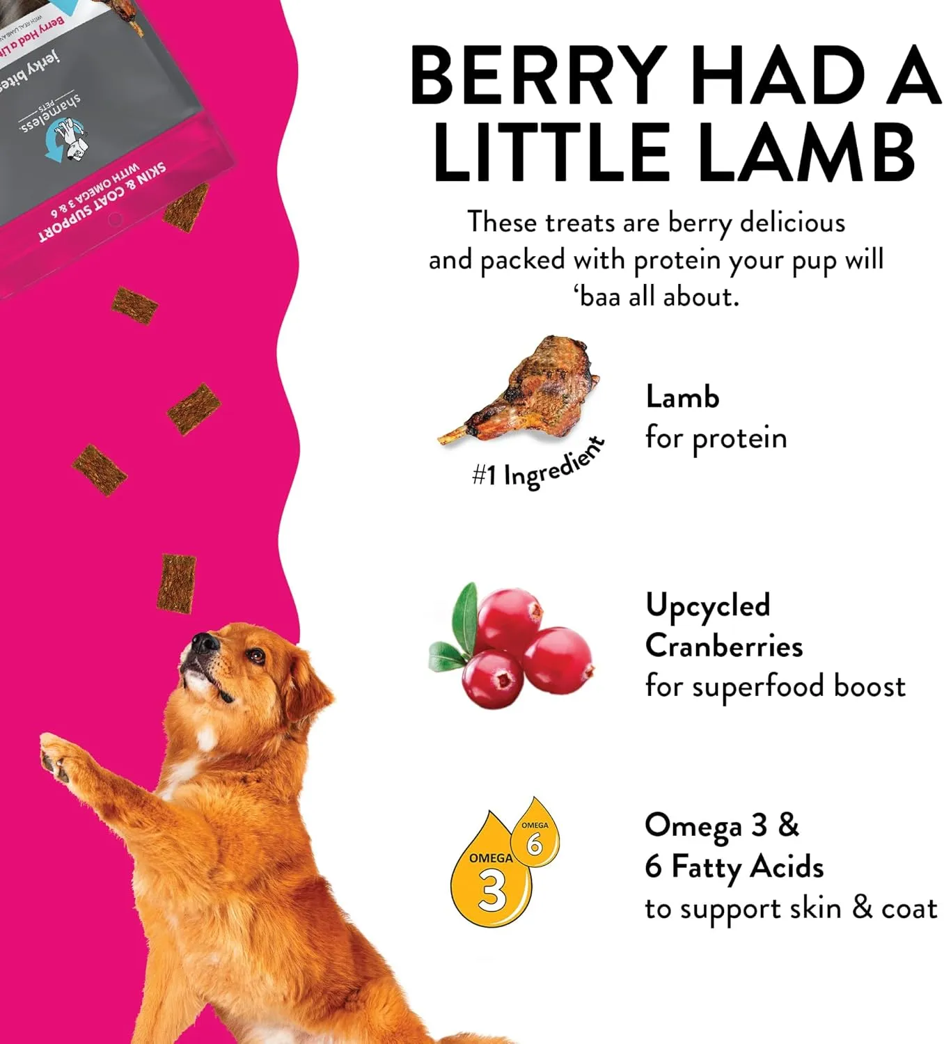 Shameless Pets Jerky Dog Treats, Berry Had A Little Lamb - Healthy Dog Chews for Skin & Coat Support with Omega 3 and 6 - with Real Premium Lamb and Cranberries - Free from Corn & Soy - 1-Pack
