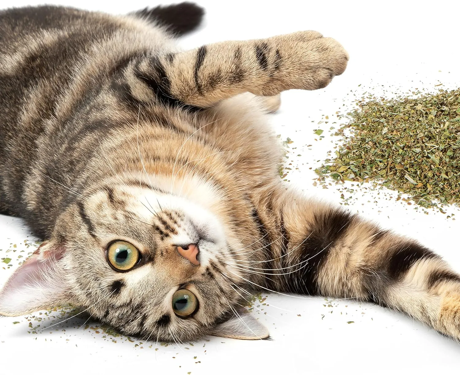SmartyKat Catnip Pouch for Cats & Kittens, USDA Certified Organic, Featuring Resealable Pouch, Sprinkle on Toys, Bedding & Scratchers, 0.5 Ounces