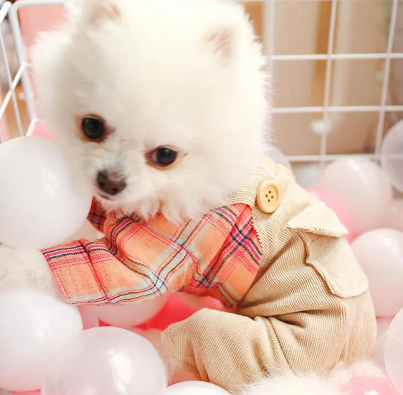 Spring and summer Pet clothes four-legged casual dog clothes