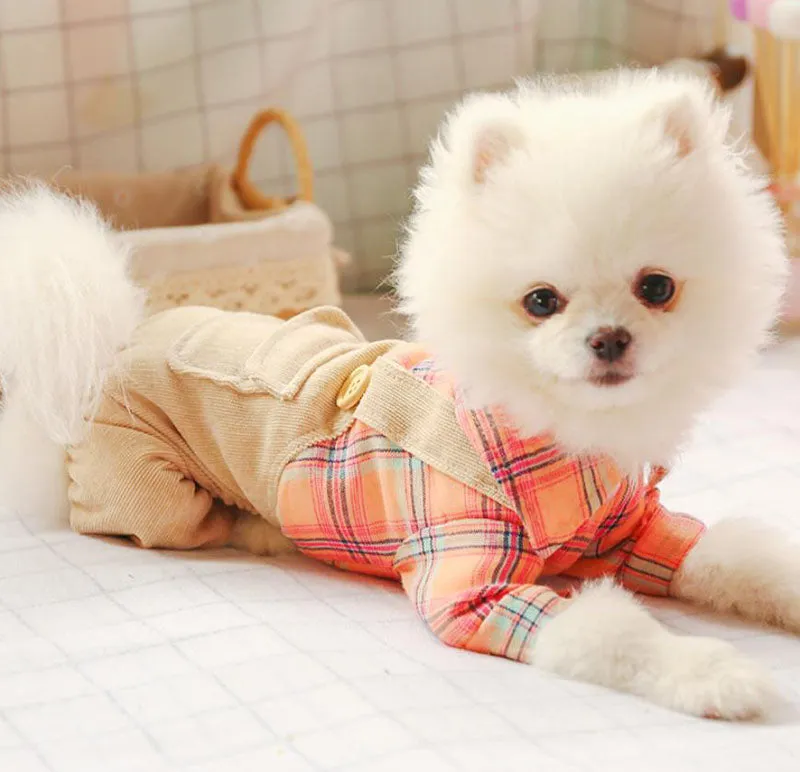 Spring and summer Pet clothes four-legged casual dog clothes