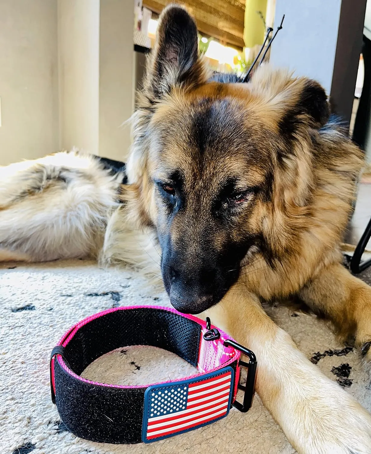 Tactical Dog Collar 2 Inch Wide Heavy Duty with Metal 2-Pin Belt Buckle for Medium, Large & XL Dogs, Thick Military-Style K9 Collar, Reflective, with Name Plate Area, USA Flag Patch, Strong & Durable