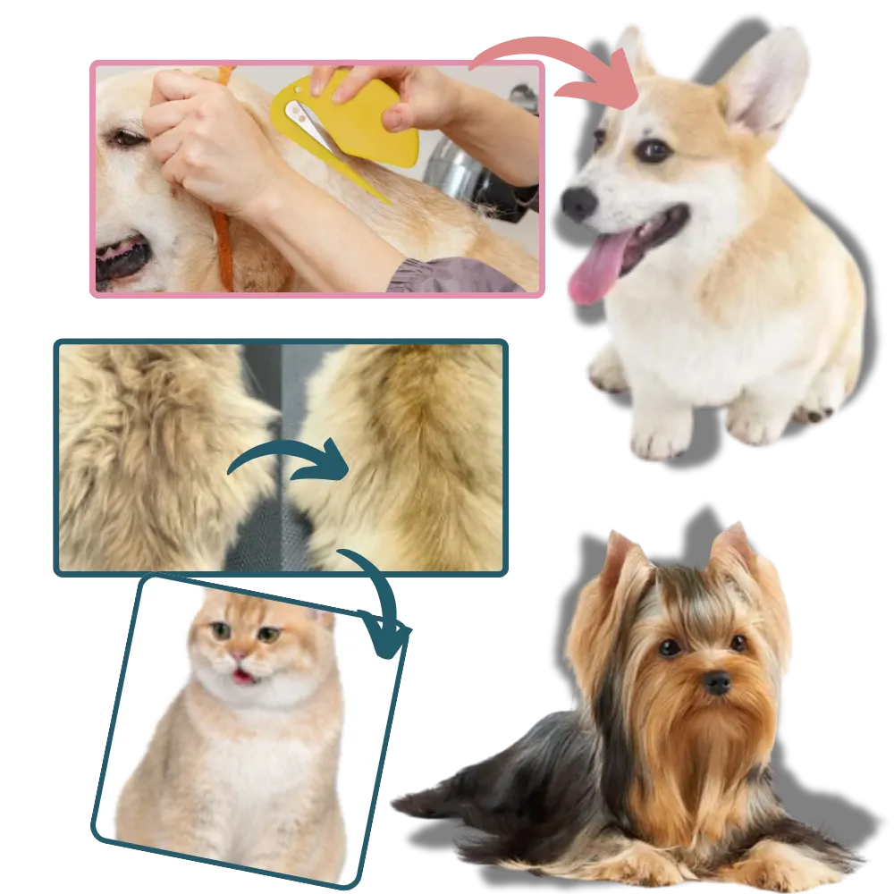 Versatile Pet Knotting Detangler