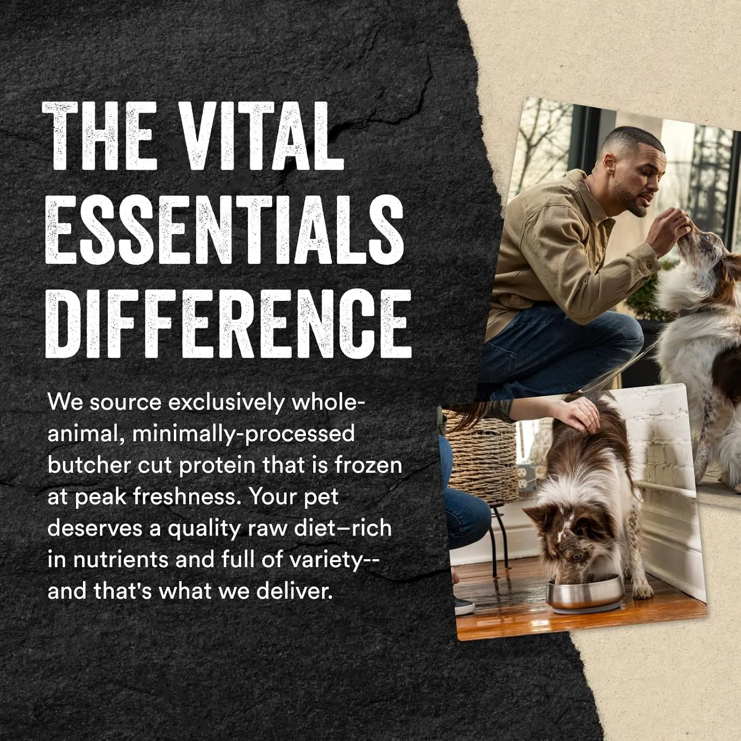 Vital Essentials Salmon Bites Dog Treats, 2.5 oz | Freeze-Dried Raw | Single Protein |Premium Quality High Protein Training Treats | Grain Free, Gluten Free, Filler Free
