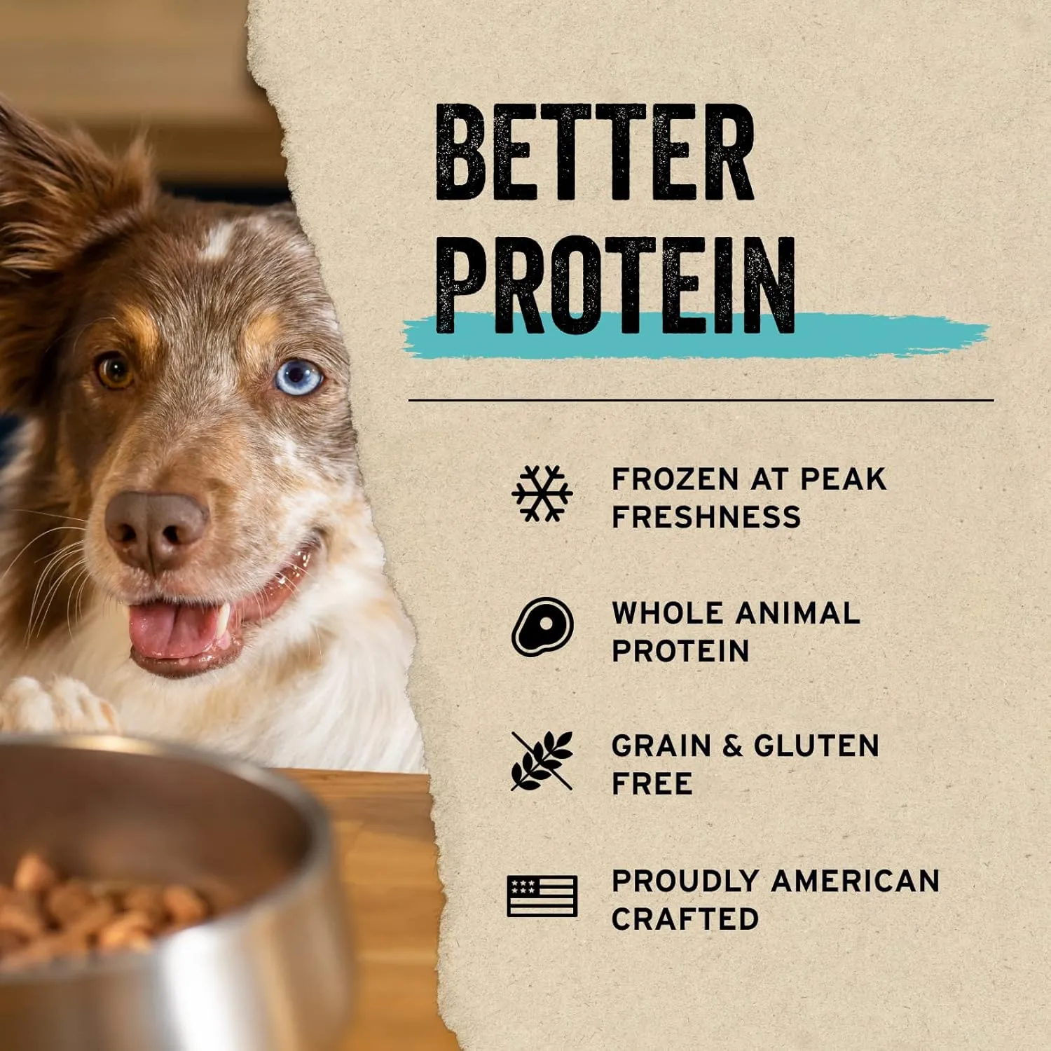 Vital Essentials Salmon Bites Dog Treats, 2.5 oz | Freeze-Dried Raw | Single Protein |Premium Quality High Protein Training Treats | Grain Free, Gluten Free, Filler Free