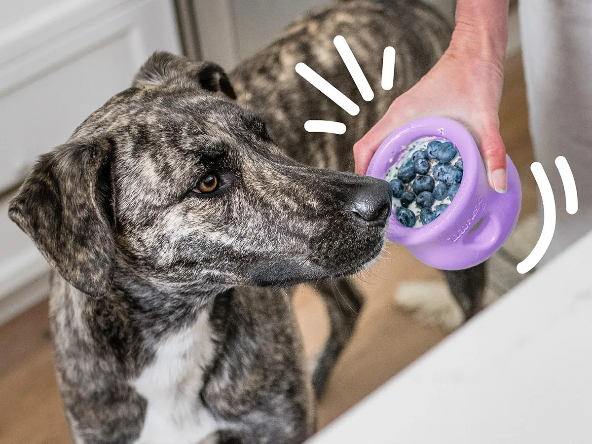West Paw - Limited Edition Toppl Treat Dog Toy